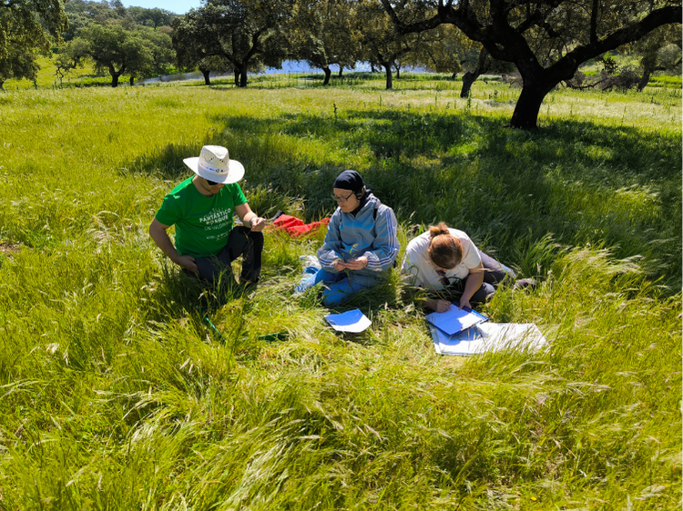 trabajo de campo